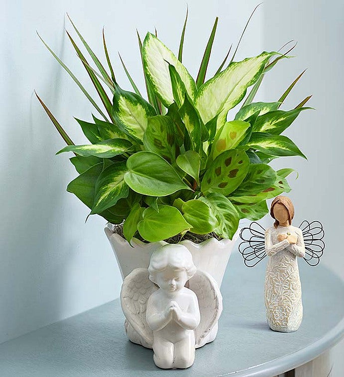 Praying Angel Sympathy Dish Garden